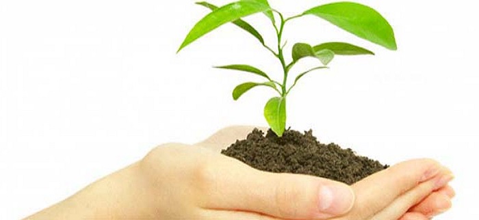 About Tapasya Analytical Research Lab โ Accredited environmental laboratory in Delhi NCR